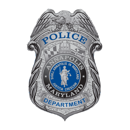 Badge (Sew-On) (Silver)